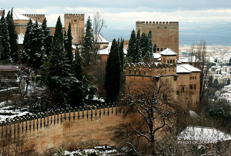 La Alhambra desde el generalife (Enero 2003)
